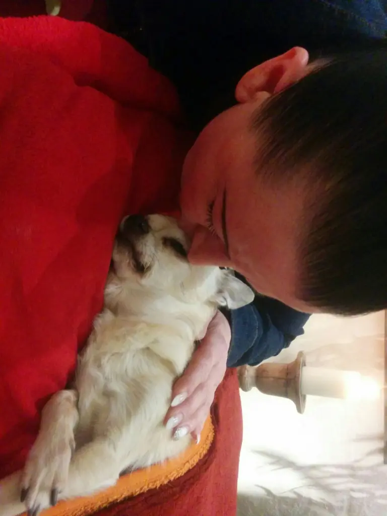 Condolence image of Evelyn Jeffries