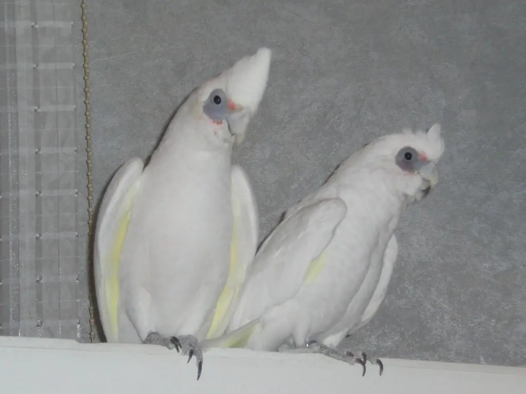 Condolence image of Andrea