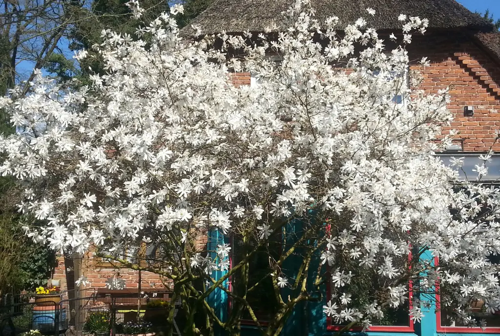 Condolence image of Evelyn Jeffries