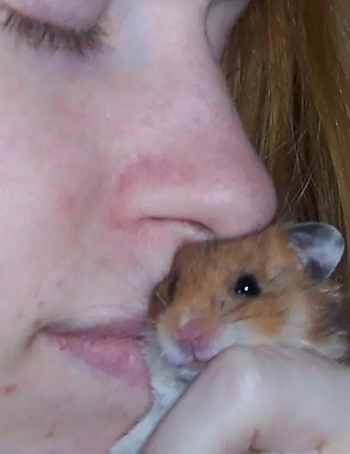 Bild von Meine geliebte kleine Nele