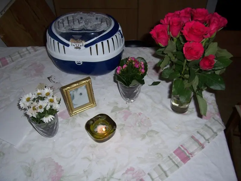 Image from Meine geliebte kleine Nele