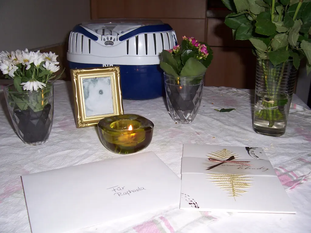 Image from Meine geliebte kleine Nele