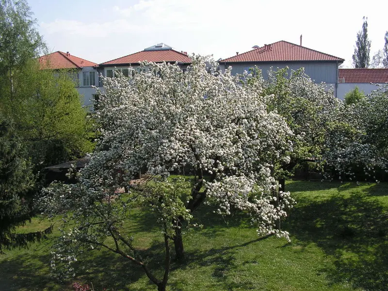 Condolence image of Deine Familie 