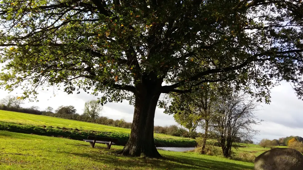 Condolence image of Deine Familie 