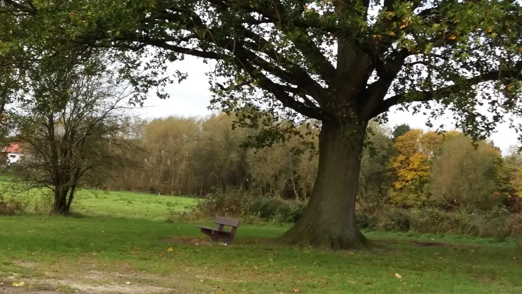 Condolence image of Deine Familie