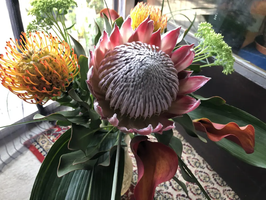 Condolence image of Deine Familie 