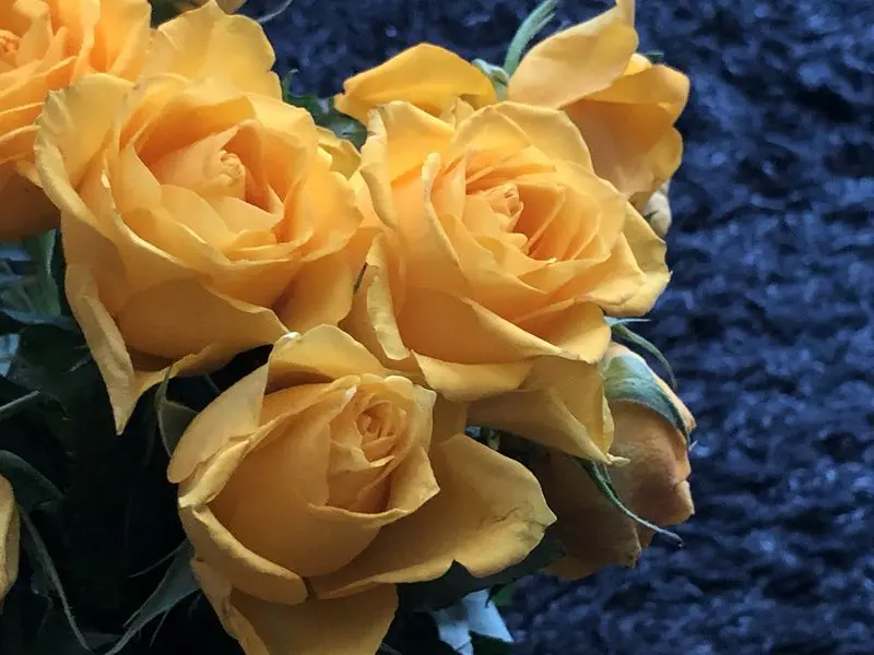 Condolence image of Deine Familie