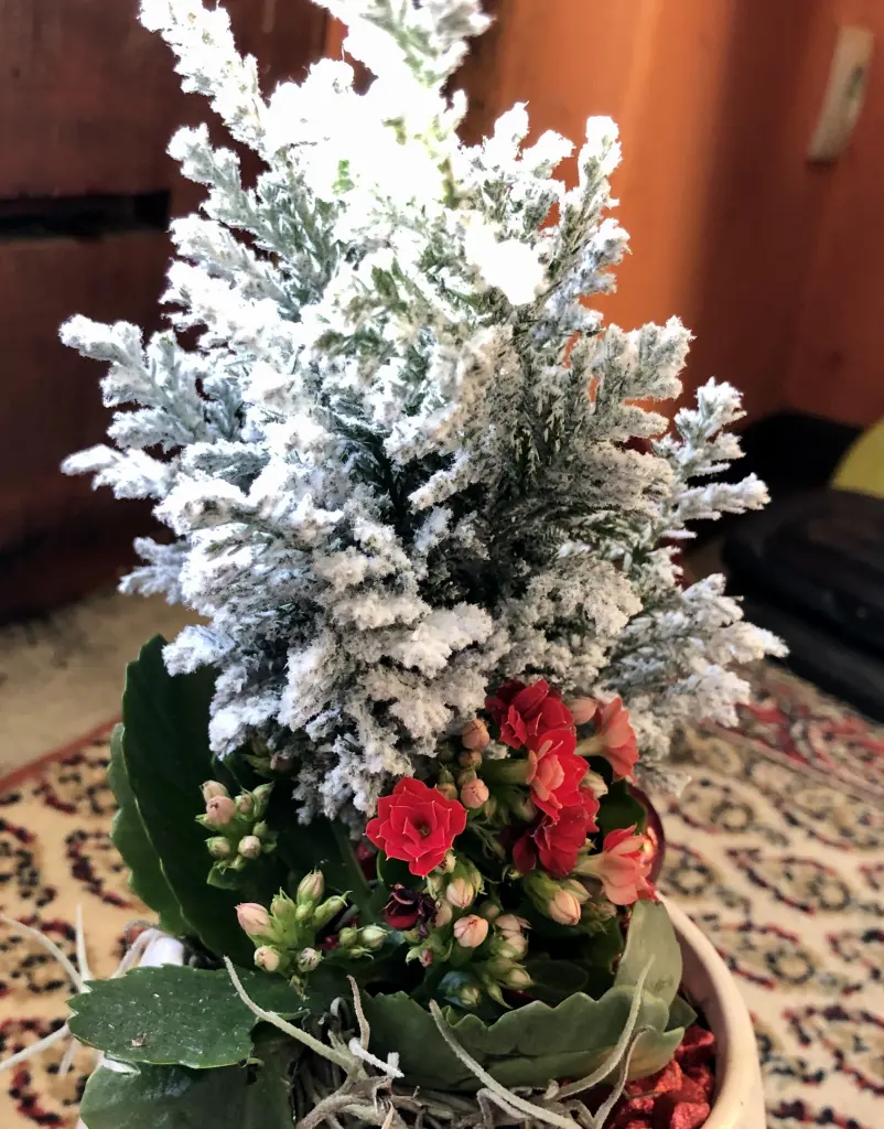 Condolence image of Deine Familie