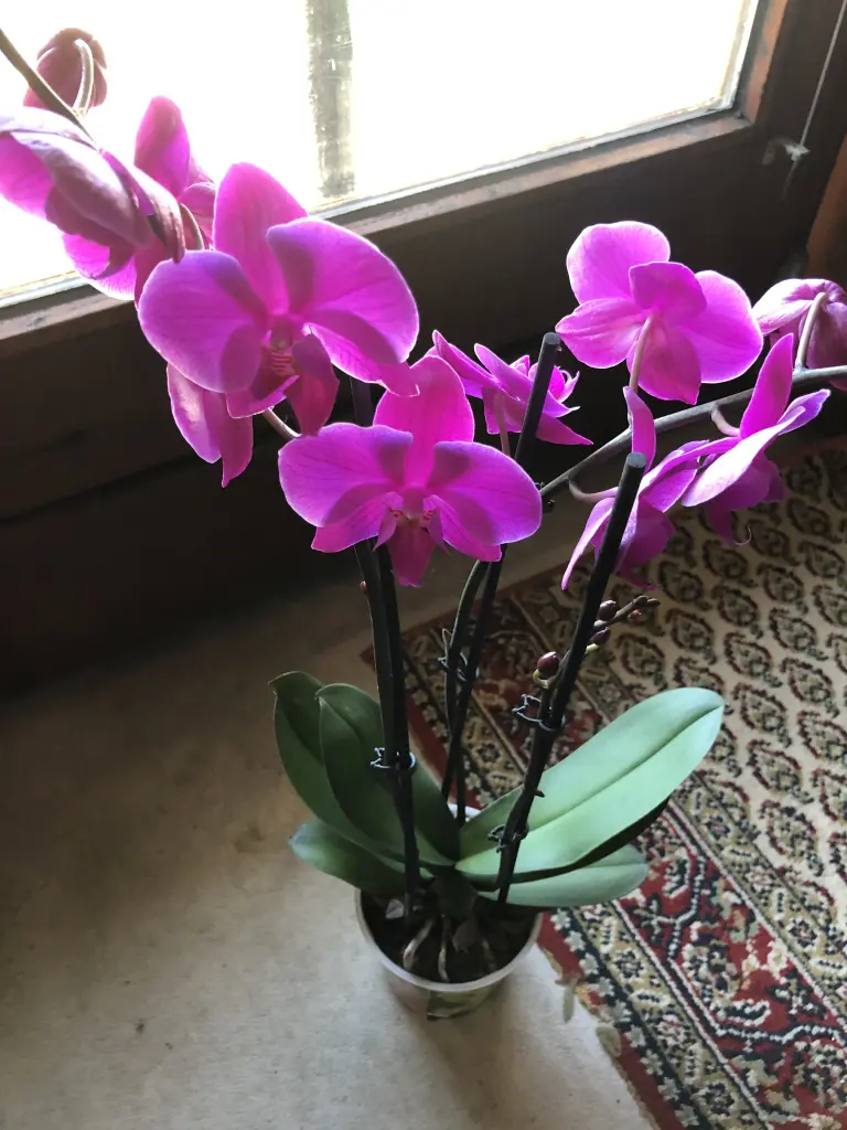 Condolence image of Deine Familie