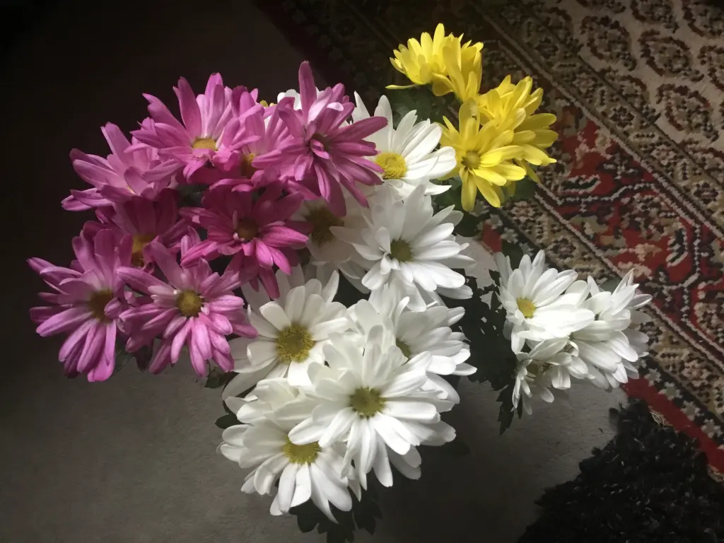 Condolence image of Deine Familie