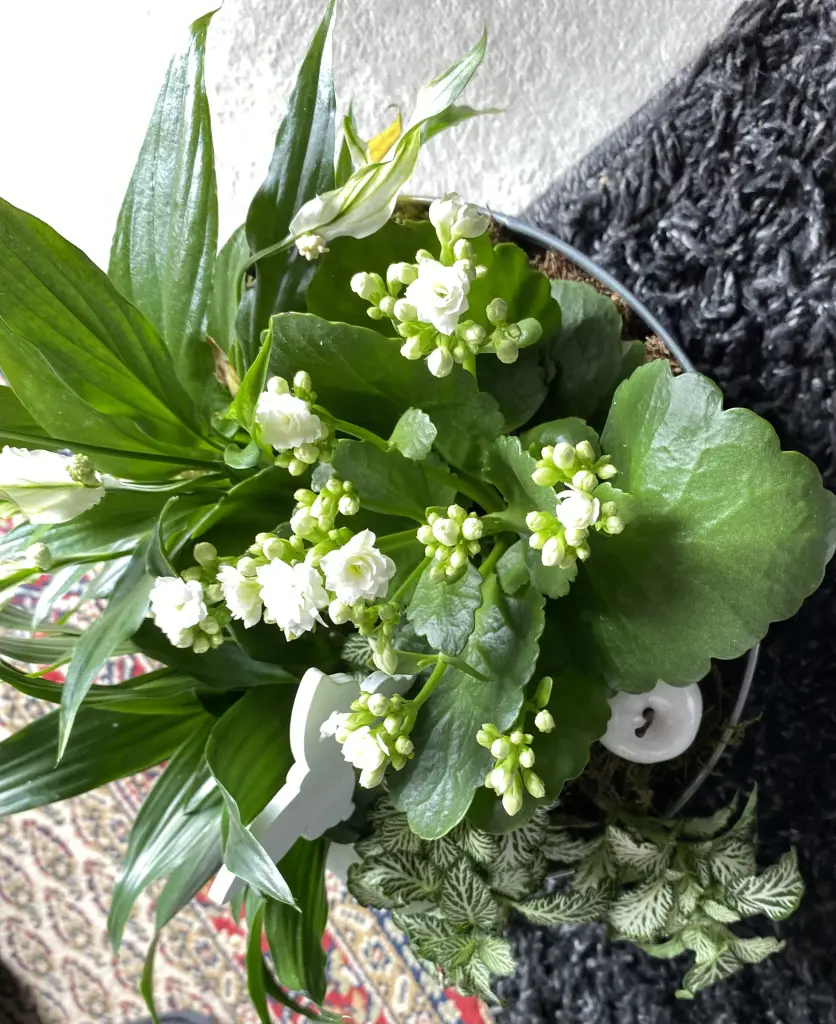 Condolence image of Deine Familie