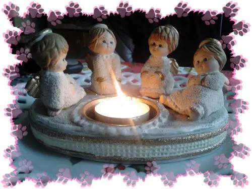 Image from meinen Herzenshund Sina