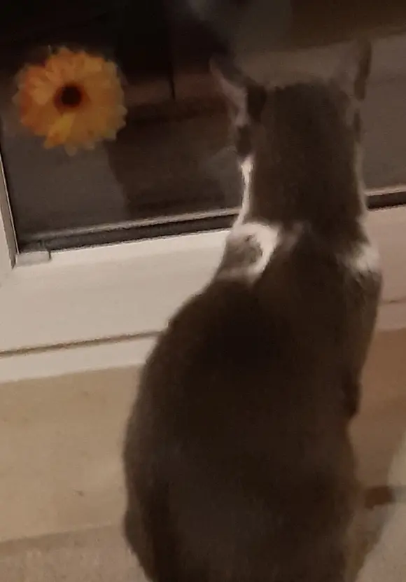 Condolence image of Heike und Jörg 