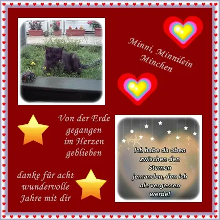 Condolence image of deiner Ilse in Liebe zum 184. Monatsgedenken