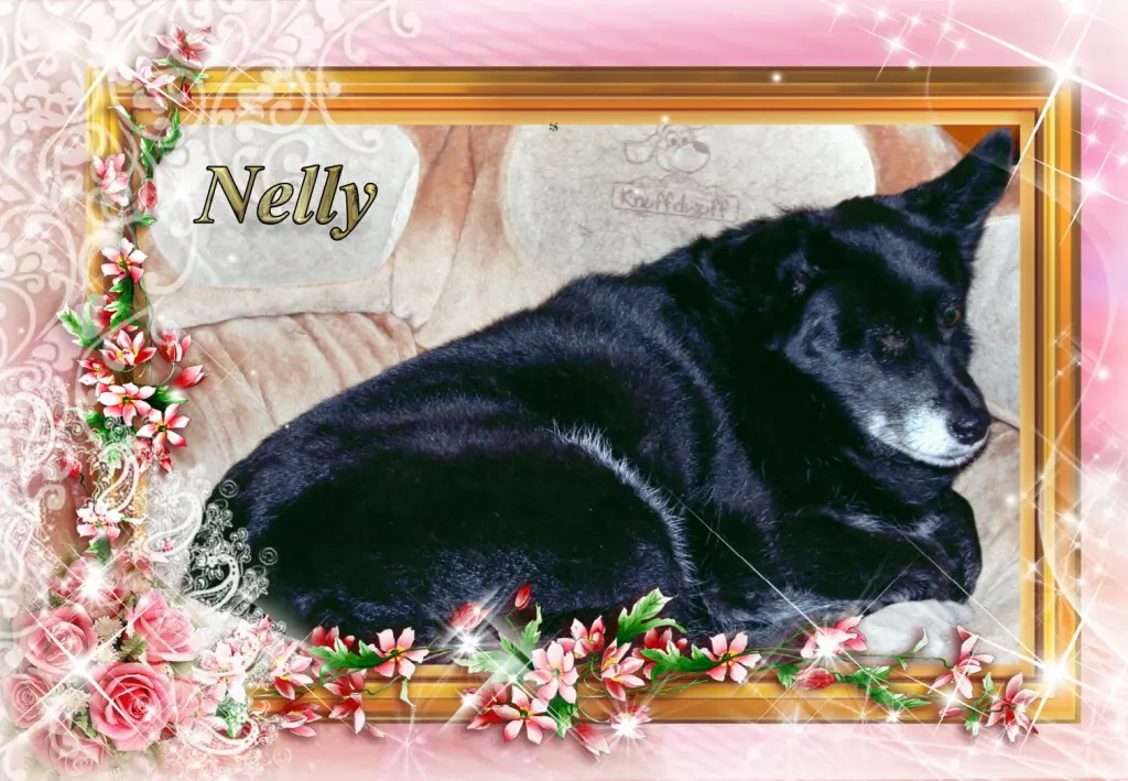 Image from Nelly