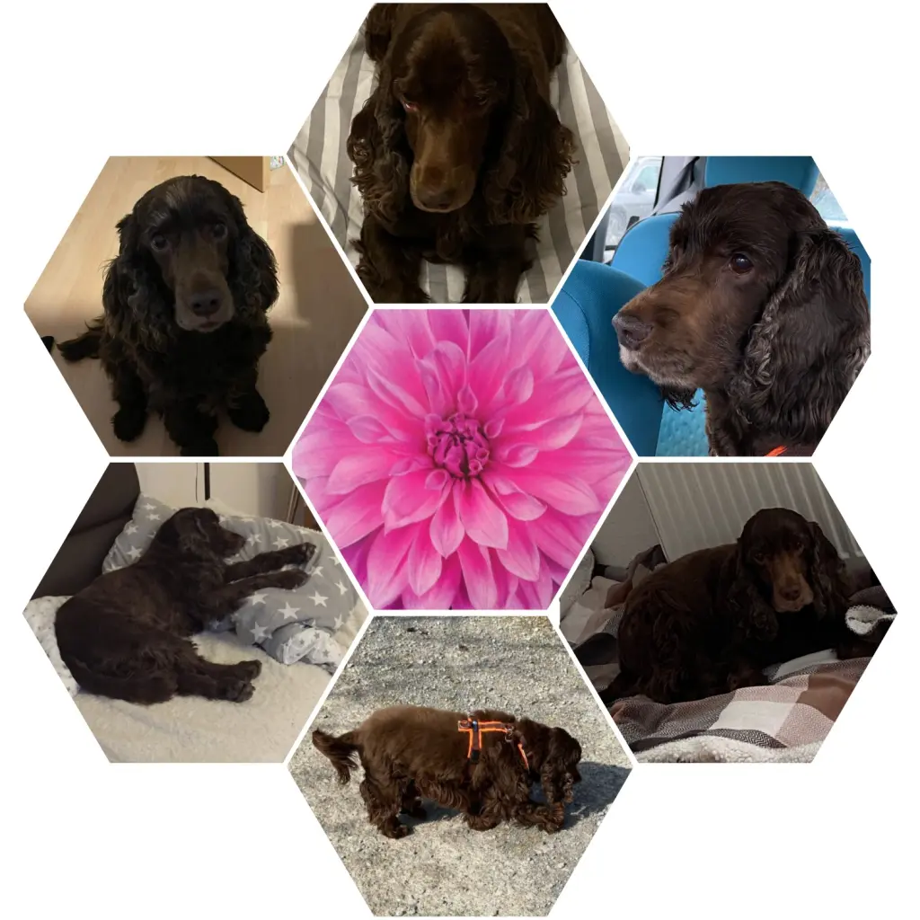 Andachtsbild von Kerstin mit Linus im ❤️