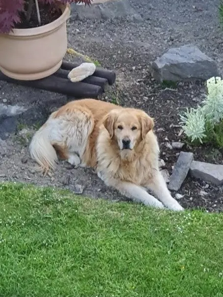 Andachtsbild von Angelika mit Luna ❤️ + 02.03.2023