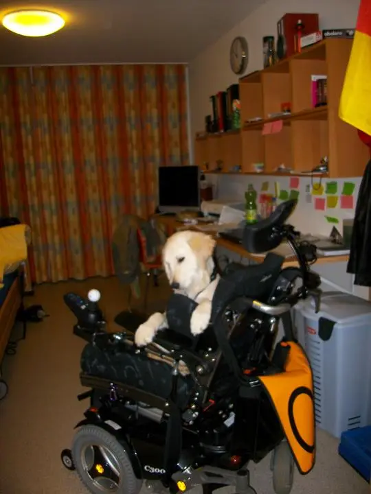 Bild von Charly, der Herr Professor