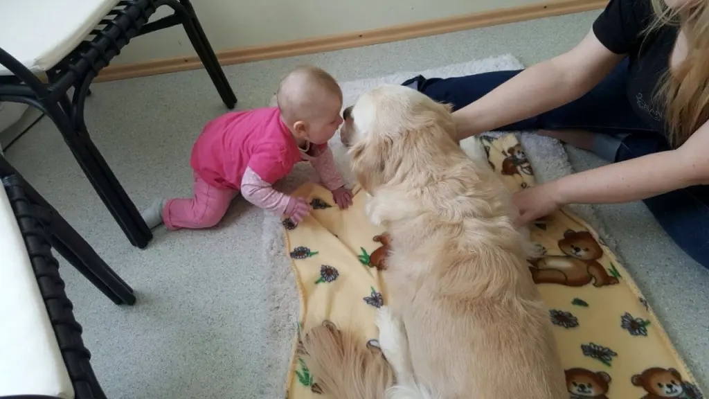 Bild von Charly, der Herr Professor