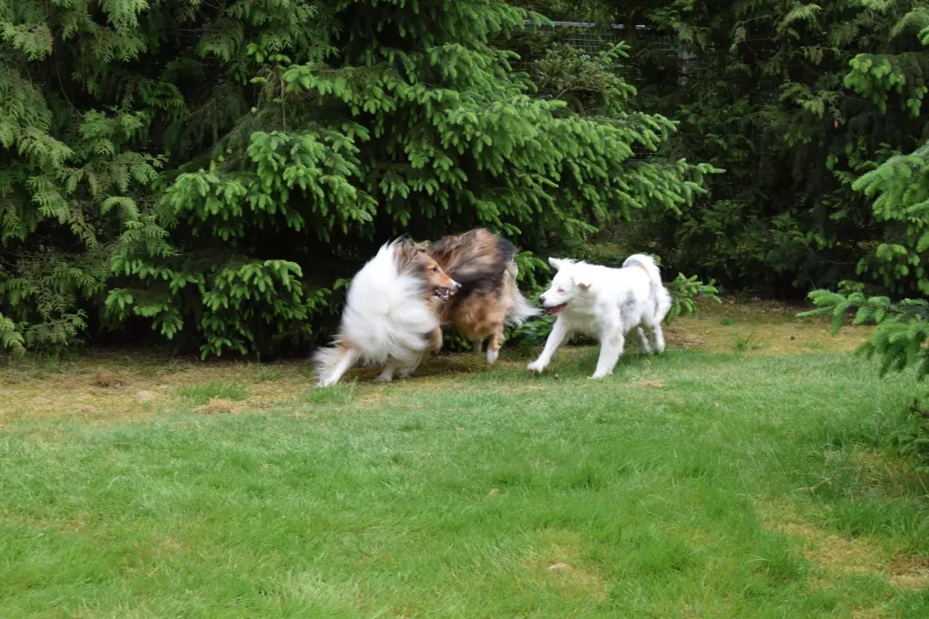 Condolence image of Unbekannt