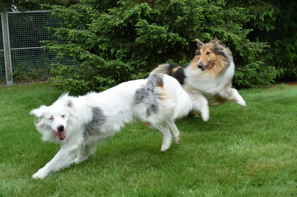 Condolence image of Wilfried