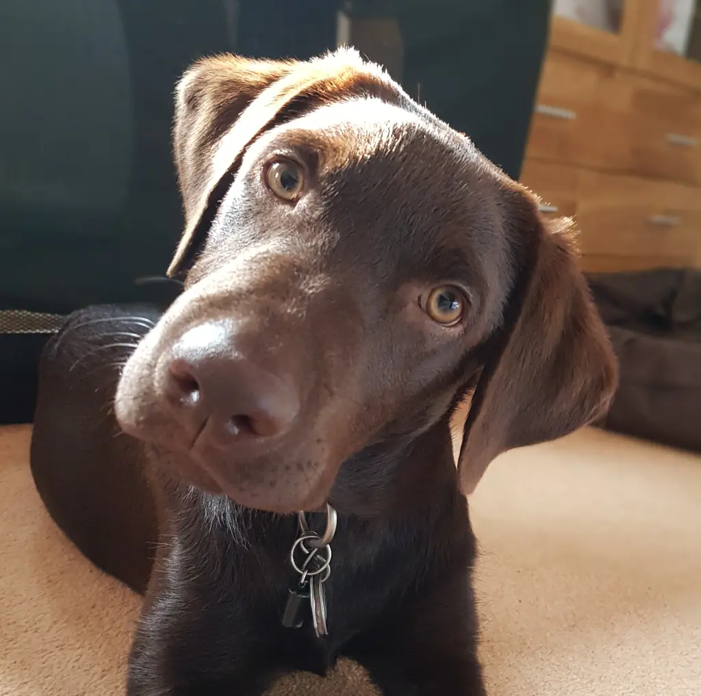 Condolence image of Svenja