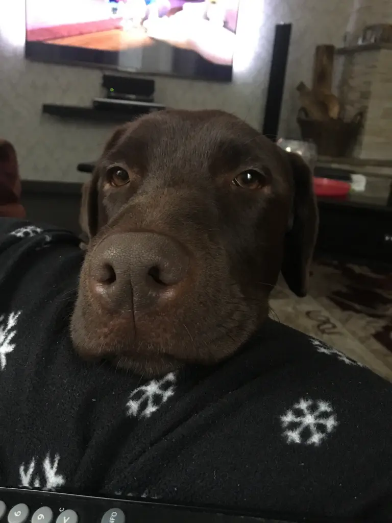 Condolence image of Maria Grunau