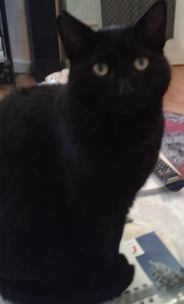 Condolence image of Chrissi & Mutzjen 