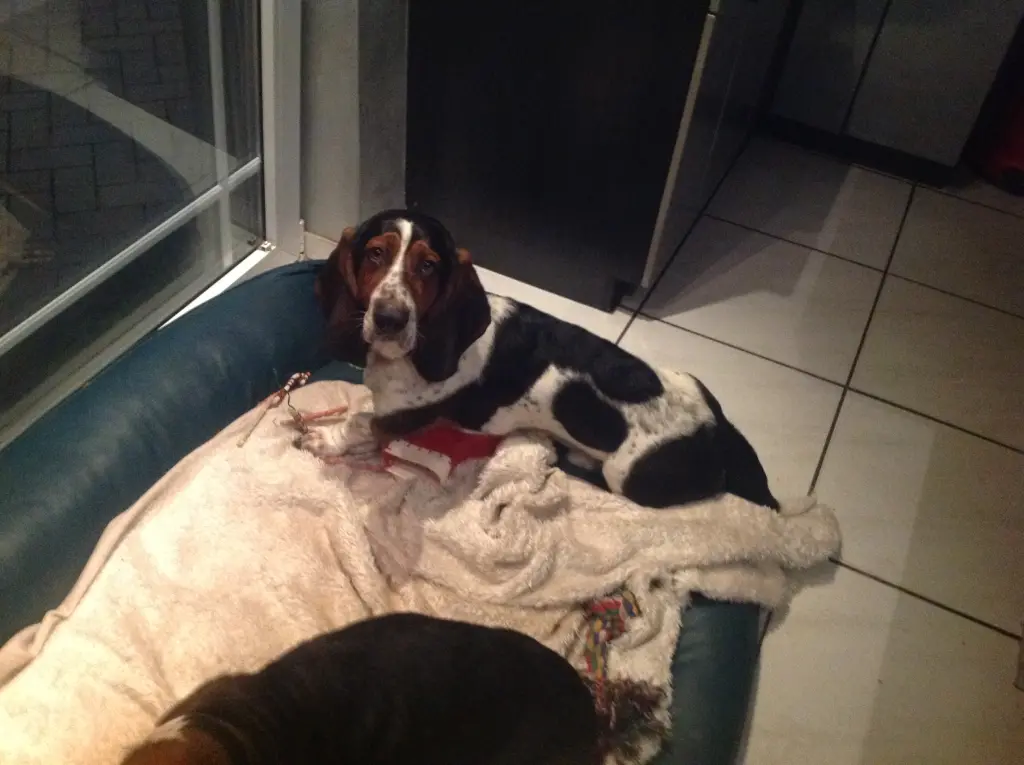 Condolence image of Sabine