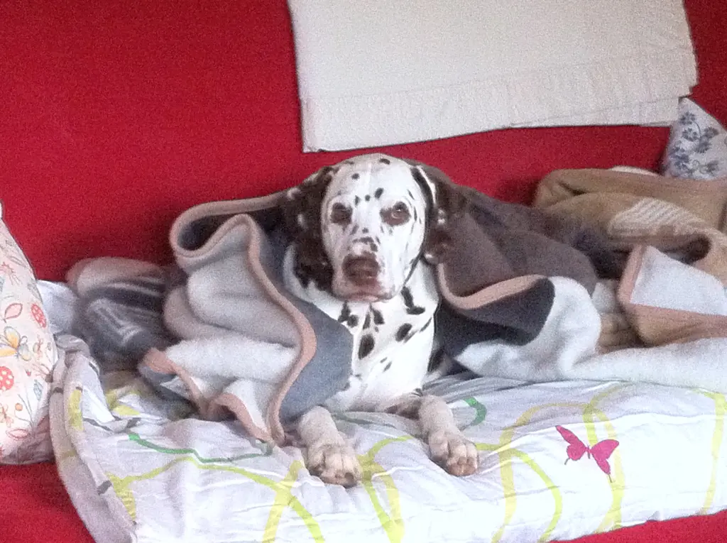 Condolence image of Kerstin 