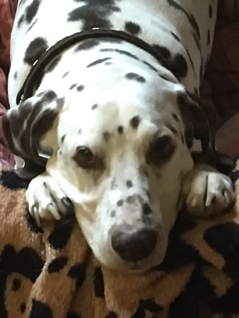 Condolence image of Kerstin 