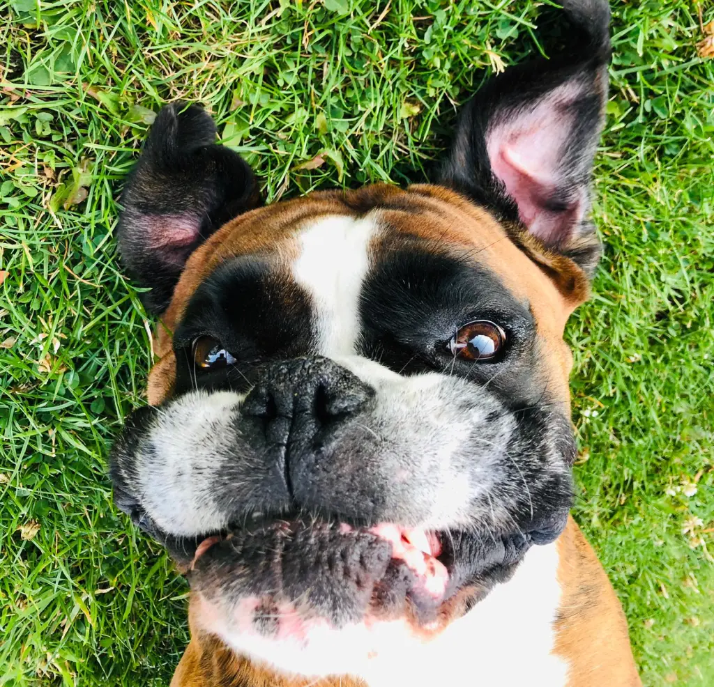 Andachtsbild von Karina und Jörg mit Floyd im ❤