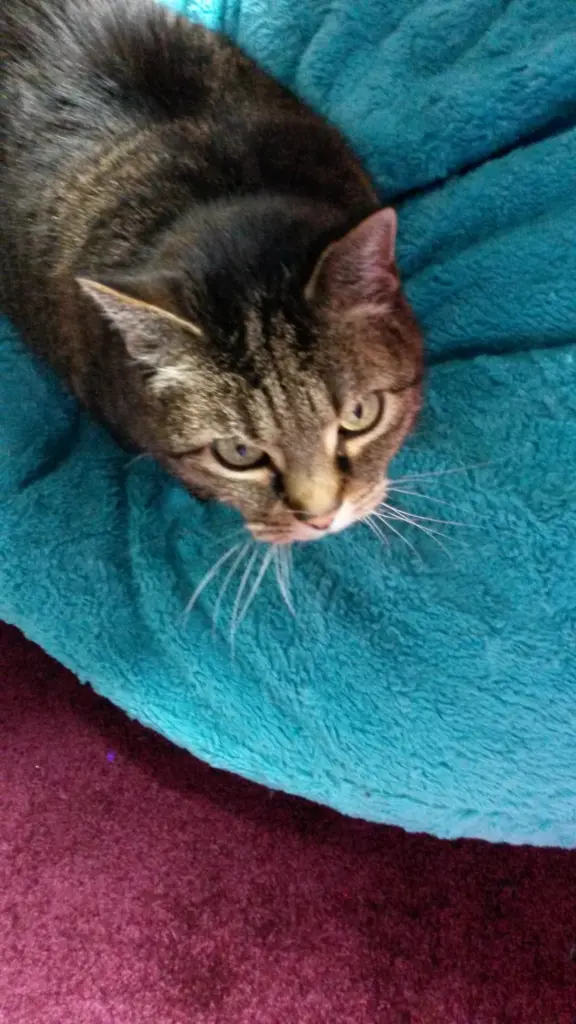 Condolence image of Irene