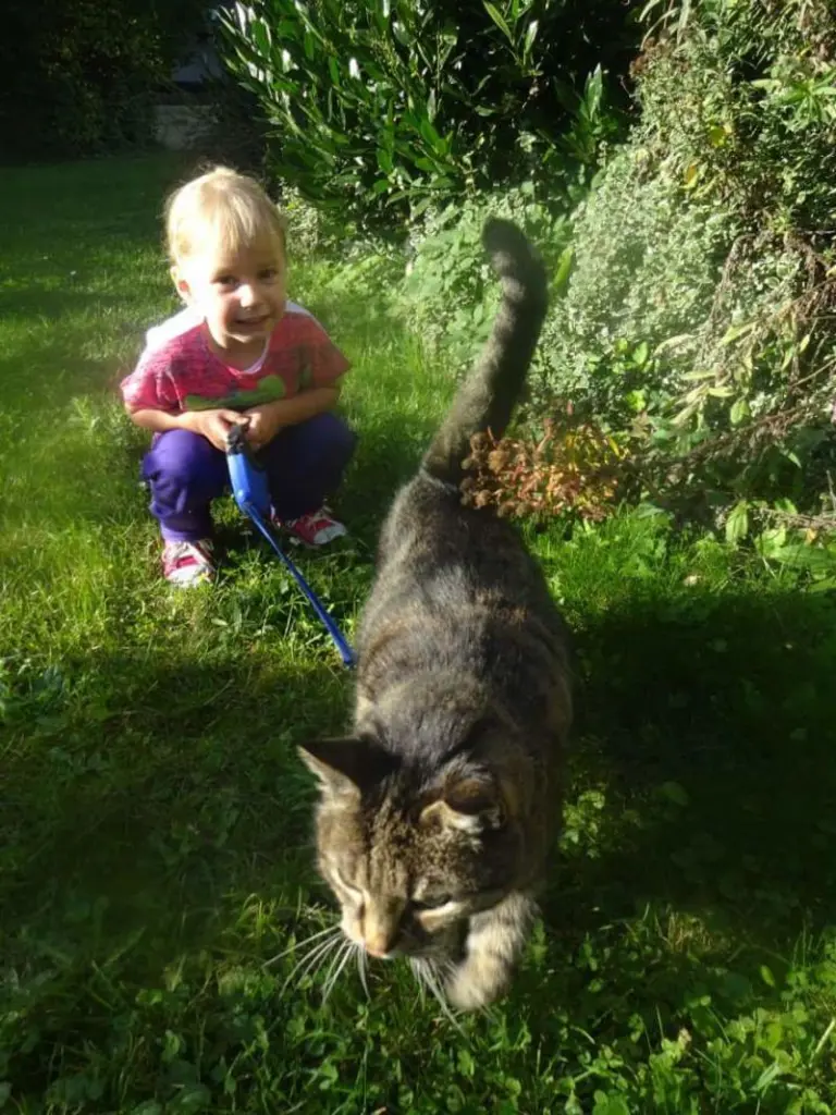 Condolence image of Silke 