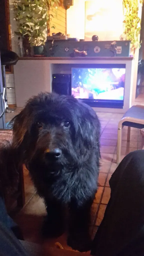 Condolence image of Bernd&jahjah