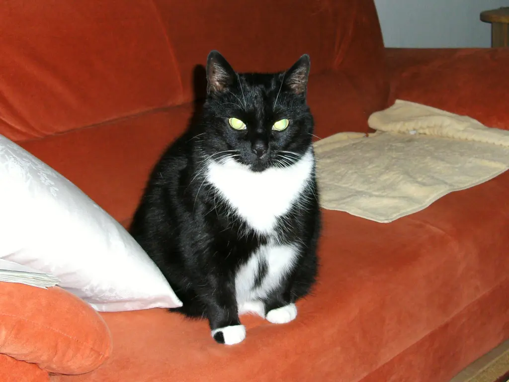 Andachtsbild von Jeanne - Marie