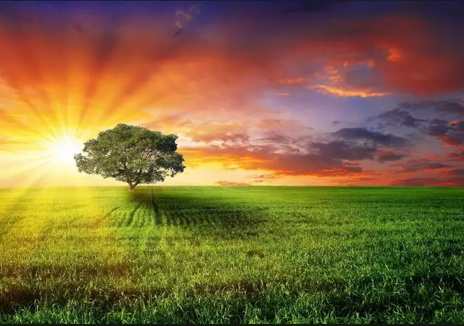 Condolence image of Manfred