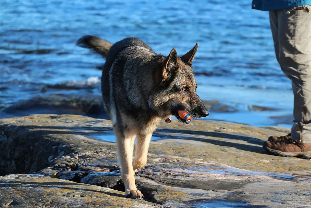 Condolence image of Petra + Reinhard
