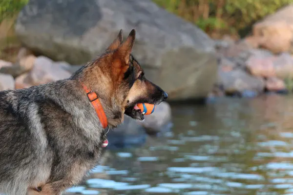 Condolence image of Reinhard