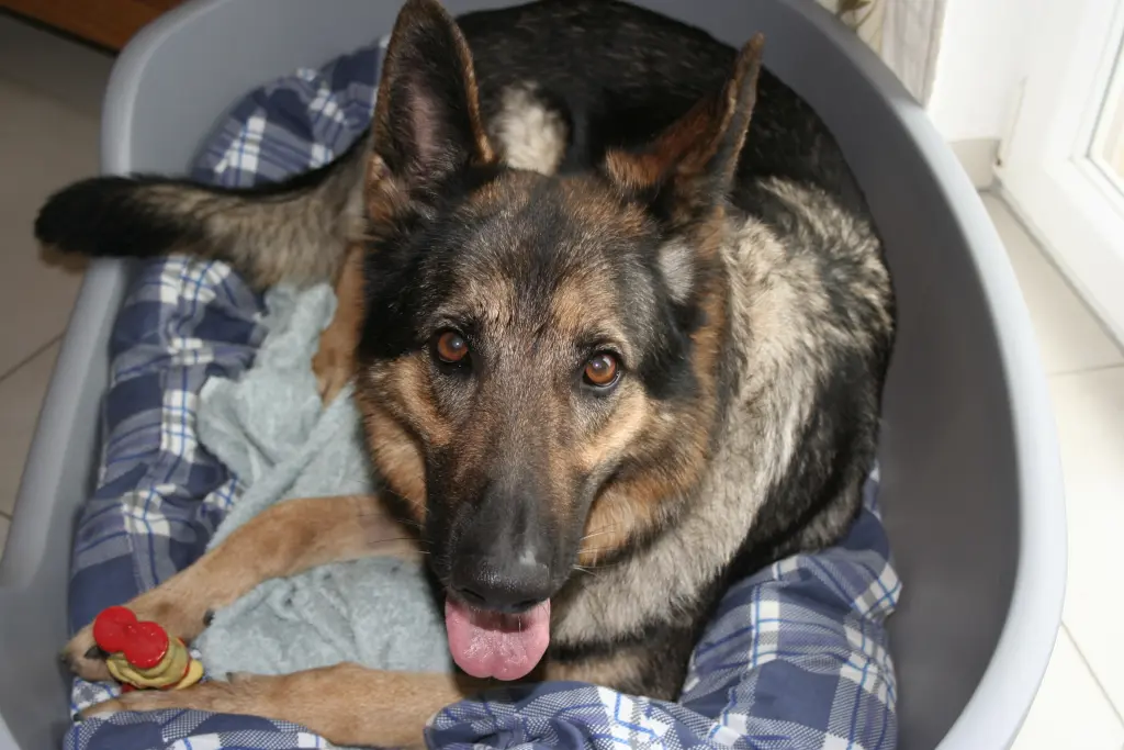 Condolence image of Reinhard