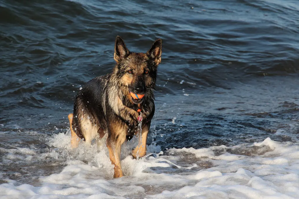 Condolence image of Reinhard