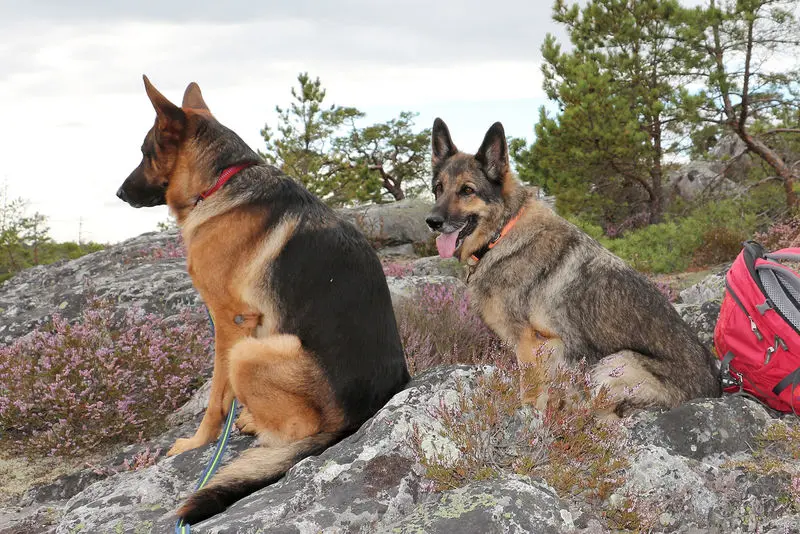 Condolence image of Unbekannt