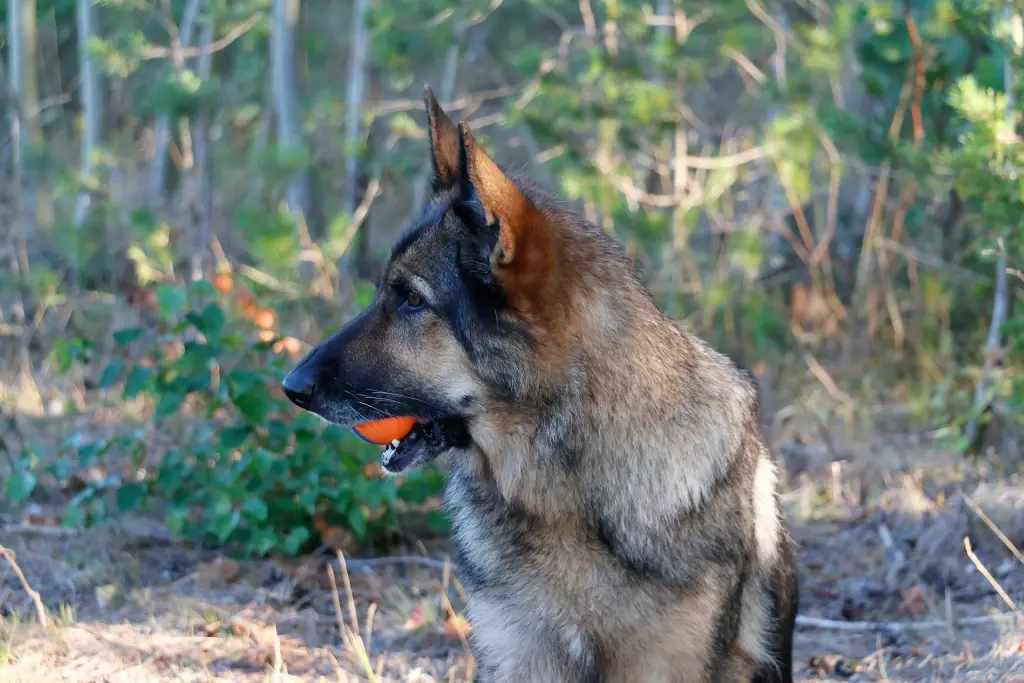 Condolence image of Reinhard