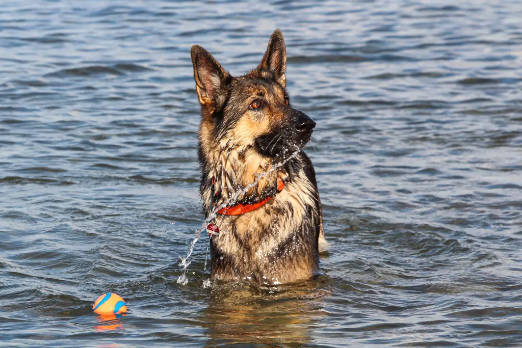 Condolence image of Petra, Reinhard, Njoy & Carlos