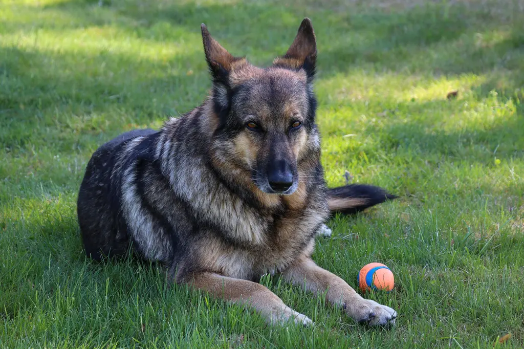Condolence image of Petra, Reinhard, Njoy & Carlos