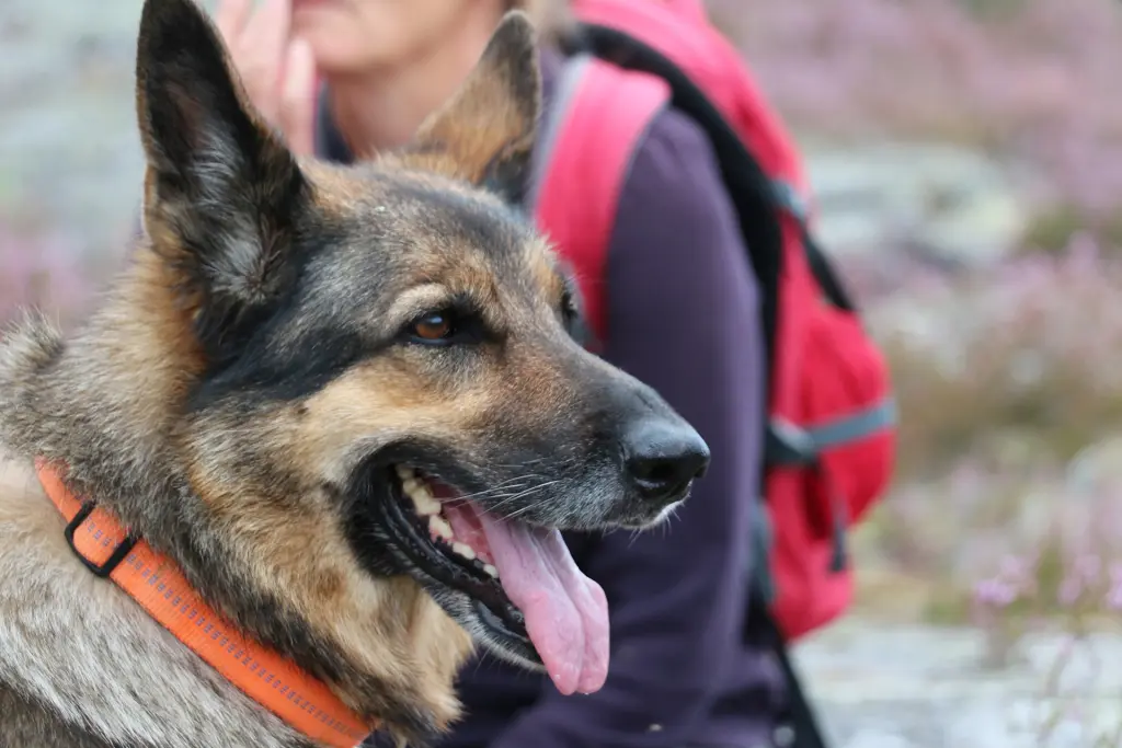 Condolence image of Petra, Reinhard, Njoy & Carlos
