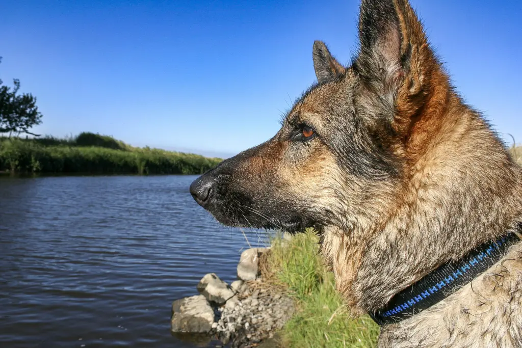 Condolence image of Petra, Reinhard, Njoy & Carlos