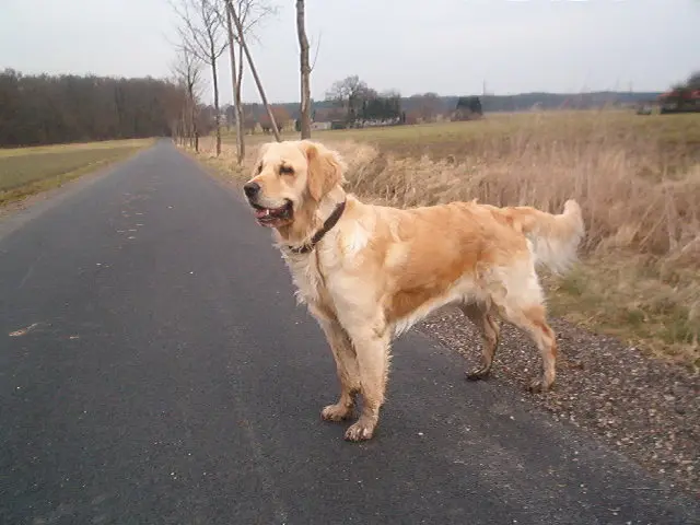 Condolence image of Depfe