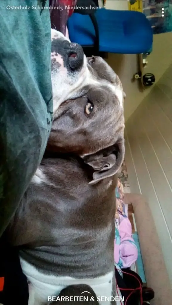 Condolence image of Lydia 