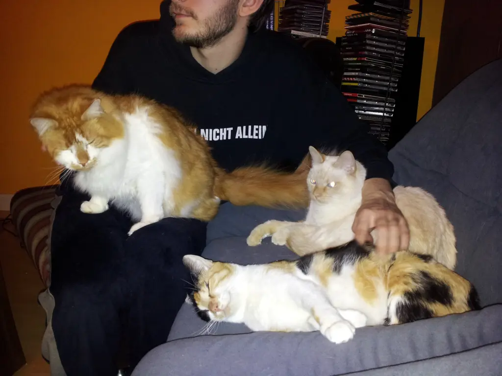 Andachtsbild von Jenny und Marcel Reinhardt